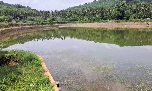 കടുത്ത വേനലിലും ദേവിച്ചിറക്കുളം ജലസമൃദ്ധിയിൽ