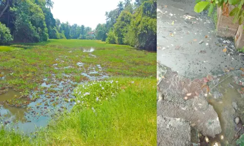 കുറുന്തലക്കോട്ട് ചിറ മാലിന്യക്കുളമായി; നാട്ടുകാർ പ്രക്ഷോഭത്തിന്​