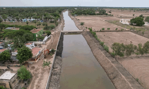 അതിജീവനത്തിന്റെ പച്ചത്തുരുത്ത്: ആറ് മാസം, 600 ഗ്രാമവാസികൾ; ബക്കിംങ്ഹാം കനാലിന് ഇത് രണ്ടാം ജന്മം!