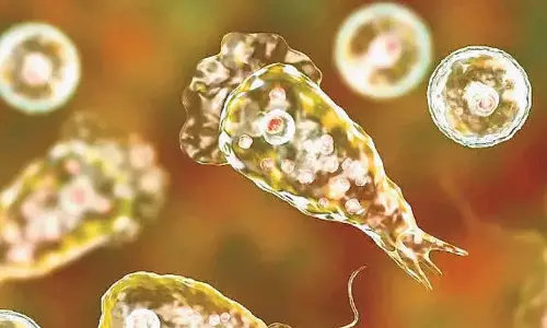 ആശങ്കയായി അമീബിക് മസ്തിഷ്ക ജ്വരം; മൂന്നര മാസത്തിനിടെ മരിച്ചത് 15 പേർ