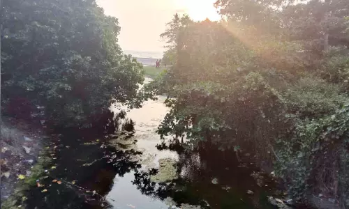 പൊ​ഴി​ക​ളും നീ​ര്‍ച്ചാ​ലു​ക​ളും ഉ​ണ​ങ്ങി​വ​ര​ണ്ടു; ദു​ര്‍ഗ​ന്ധ​ത്തി​ല്‍ മു​ങ്ങി തീ​ര​ദേ​ശം