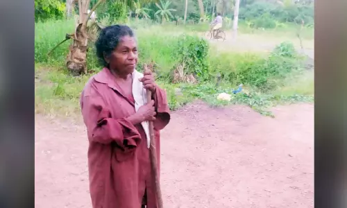 80ലും നെൽകൃഷിയിൽ സജീവമായി ഓമന മുത്തശ്ശി