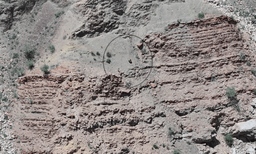 ദുബൈയിലെ ഹത്ത മലമുകളിൽ കുടുങ്ങിയ വനിത ടൂറിസ്റ്റുകളെ രക്ഷപ്പെടുത്തി