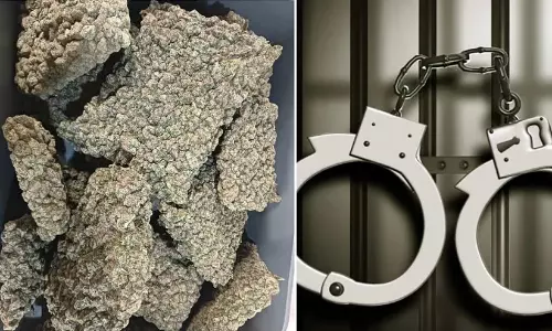 ബാങ്കോക്കിൽ നിന്ന് വസ്ത്രങ്ങൾക്കിടയിൽ ഒളിപ്പിച്ചു കടത്തി; മുംബൈയിൽ കോടികളുടെ ഹൈഡ്രോപോണിക് കഞ്ചാവുമായി യുവാവ് പിടിയിൽ