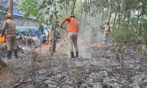 ചുങ്കത്തറയിൽ റബർ തോട്ടത്തിന് തീപിടിച്ചു