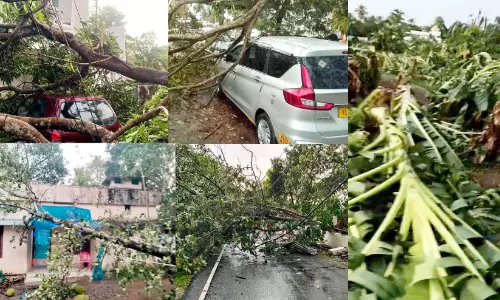 കാറ്റ്, മഴ: വ്യാപക നാശം; വൈദ്യുതി നിലച്ചു