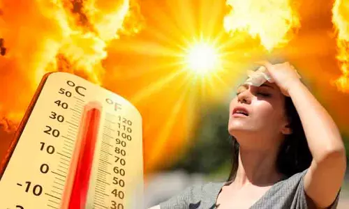 വെയിലേറ്റ് വാടല്ലേ, ഒന്നീ തണലിൽ ഇരുന്നാട്ടെ; തിരിച്ചറിയണം സൂര്യാഘാതത്തിന്റെ അപകടസൂചനകൾ