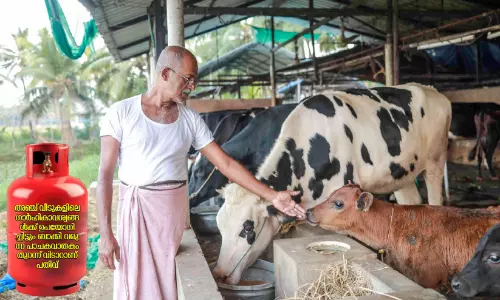 പാചകവാതക ക്ഷാമം; മുഹമ്മദാലിക്കും അയൽവാസികൾക്കും നോ ടെൻഷൻ