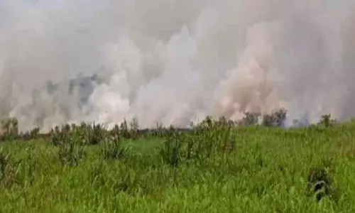 കാ​യി​ക്കേ​രി പാ​ട​ശേ​ഖ​ര​ത്തി​ൽ വ​ൻ തീ​പി​ടി​ത്തം