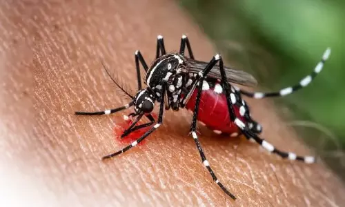 വെ​ള്ളാ​വൂ​രി​ൽ ഡെ​ങ്കി​പ്പ​നി പ​ട​രു​ന്നു; 23 പേ​ർ​ക്ക് രോ​ഗ​ബാ​ധ