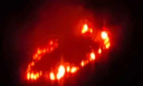 മ​റ​യൂ​ർ മേ​ഖ​ല​യി​ൽ ആ​ശ​ങ്ക​യാ​യി കാ​ട്ടു​തീ; ഹെ​ക്ട​ർ​ക​ണ​ക്കി​ന് വ​ന​ഭൂ​മി ക​ത്തി​ന​ശി​ച്ചു