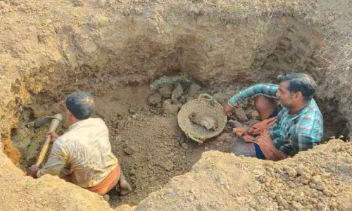 എരിക്കുളം വയലിൽ മണ്ണെടുപ്പുത്സവം തുടങ്ങി