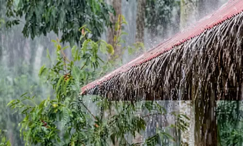 വിവിധ ജില്ലകളില്‍ വരും മണിക്കൂറില്‍ മഴക്ക് സാധ്യതയുള്ളതായി കേന്ദ്ര കാലാവസ്ഥാ വകുപ്പ്