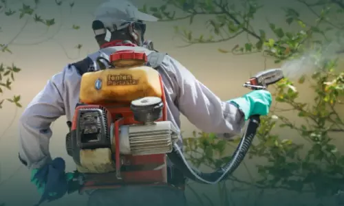 മസ്‌കത്തിൽ ഈച്ച, കൊതുക് നിയന്ത്രണത്തിന് കാമ്പയിൻ