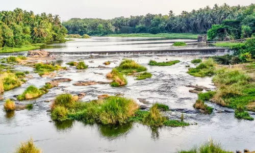 തടയണകളിൽ ജലമെത്തി; കുടിവെള്ള പ്രതിസന്ധിക്ക് പരിഹാരം