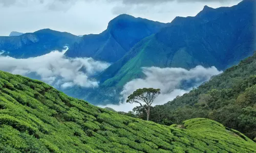 തി​ര​ക്ക്​ കു​റ​ഞ്ഞ്​ വി​നോ​ദ​സ​ഞ്ചാ​ര കേ​​ന്ദ്ര​ങ്ങ​ൾ