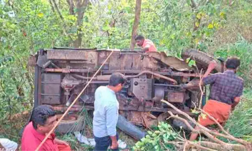 മൂ​ന്നു​മാ​സം; റോ​ഡി​ൽ പൊ​ലി​ഞ്ഞ​ത്​ 30 ജീ​വ​നു​ക​ൾ, 482 പേ​ർ​ക്ക് പ​രി​ക്കേ​റ്റു