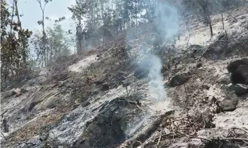 ചെറുപുഴയില്‍ വൻ തീപിടിത്തം ഏക്കറുകണക്കിന് സ്ഥലം കത്തി നശിച്ചു