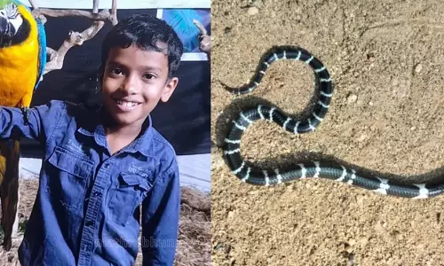 കുട്ടികള്‍ക്ക് പാമ്പുകടിയേറ്റ വീട്ടില്‍ വീണ്ടും ശംഖുവരയന്‍ പാമ്പ്; ചികിത്സയിലുള്ള അനോഷിനെ വെന്റിലേറ്ററില്‍നിന്ന് മാറ്റി