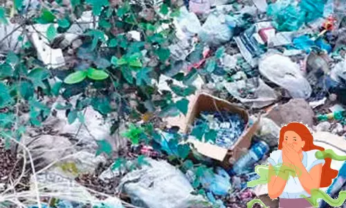 മൂക്ക് പൊത്തി​ക്കോളൂ, മഞ്ചേശ്വരമെത്തി...