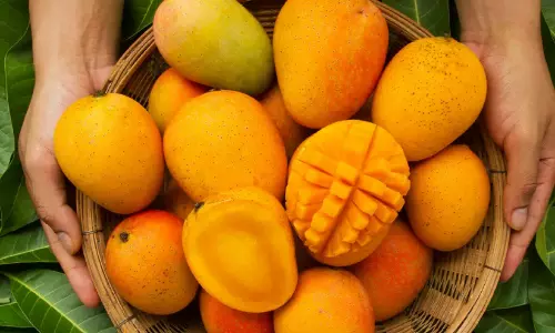 പ്രമേഹരോഗികൾക്ക് മാമ്പഴം കഴിക്കാമോ? പോഷകാഹാര വിദഗ്ധർ പറയുന്നത് ശ്രദ്ധിക്കുക