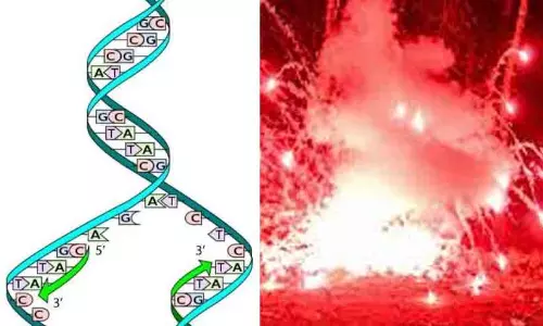 ഡി.എൻ.എ ഫലം മറ്റന്നാൾ ലഭിക്കും, മൊബൈൽ യൂണിറ്റ് എത്തിയതോടെ ആദ്യ രണ്ട് ഘട്ടം പൂർത്തിയാക്കും -കലക്ടർ