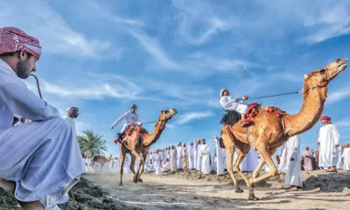 അദൃശ്യ സാംസ്കാരിക പൈതൃക സംരക്ഷണത്തിനായി സുൽത്താൻ ഹൈതമിന്റെ പേരിൽ യുനെസ്കോ പുരസ്‌കാരം