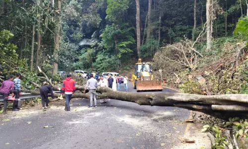 ചുരത്തിലെ വീതികൂട്ടൽ പ്രവൃത്തി ഉടൻ തുടങ്ങും