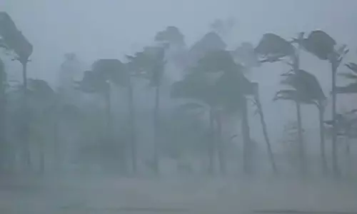 കാറ്റ്, മഴ: പു​ൽ​പ​ള്ളി, ഇ​രു​ളം മേ​ഖ​ല​ക​ളി​ൽ വ്യാ​പ​ക​ നാ​ശം