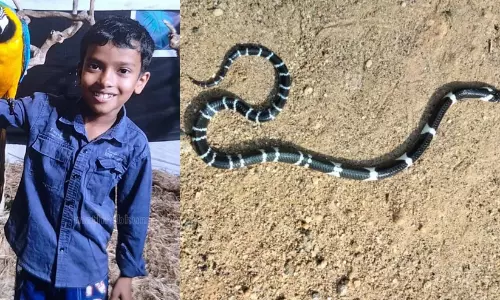 അൽജോയുടെ വീട്ടിൽ ഭീതിയൊഴിയുന്നില്ല; വീടിന്റെ തറ പൊളിച്ച് പരിശോധന