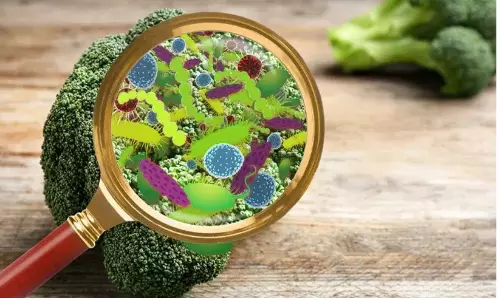 ഹോട്ടലിൽനിന്ന് ഭക്ഷണം കഴിച്ച രണ്ടുപേർ മരിച്ച സംഭവം, ഭക്ഷ്യവിഷ ബാധയല്ലെന്ന് രാസപരിശോധന റിപ്പോർട്ട്