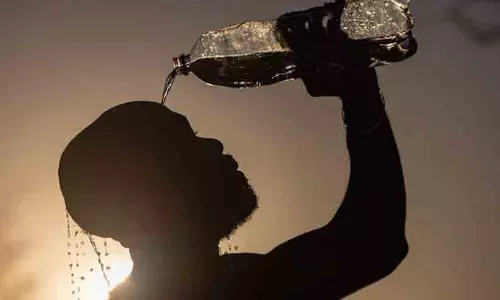 ഉരുകിയൊലിച്ച് കേരളം; ഉഷ്ണതരംഗത്തിൽ ആശങ്കയേറുന്നു: മുഖ്യമന്ത്രി ഉന്നതതല യോഗം വിളിച്ചു