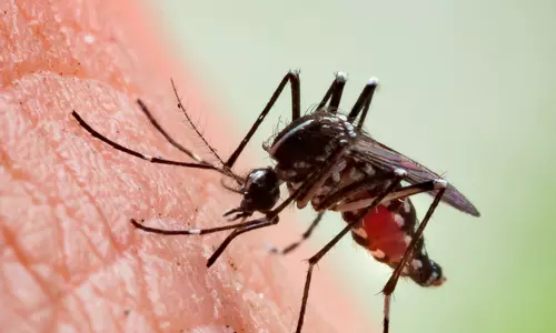 പനിക്കും അപ്പുറം: മലേറിയ എങ്ങനെ തലച്ചോറിനെയും ആന്തരികാവയവങ്ങളെയും ബാധിക്കുന്നു?