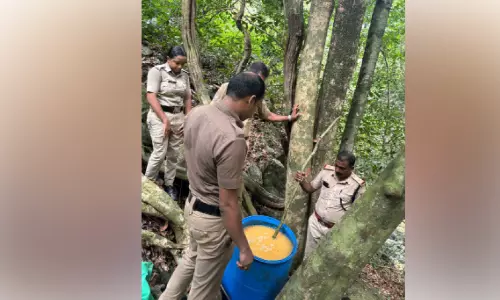 വ്യാജ ചാരായ നിർമാണം: 200 ലിറ്റര്‍ വാഷ് പിടികൂടി