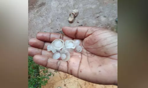 വേനൽ മഴയും ആലിപ്പഴവും; കുളിരണിഞ്ഞ് ചങ്ങനാശ്ശേരി