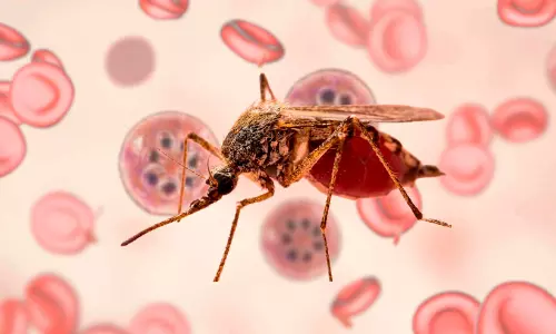 പനി വന്നാൽ 48 മണിക്കൂർ ശ്രദ്ധിക്കൂ; മലേറിയയെ നിസ്സാരമായി കാണരുത്