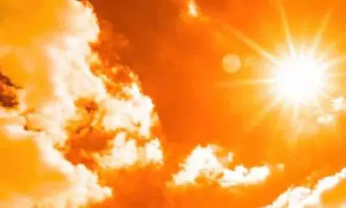 വരണ്ടുണങ്ങി വിളകൾ; കാർഷിക മേഖല പ്രതിസന്ധിയിൽ