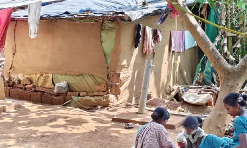 പാമ്പുകയറുന്ന കൂരകളിൽ ജീവൻ പണയംവെച്ച് ആദിവാസികൾ