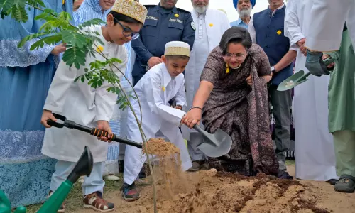 സാൽമിയ ഗാർഡനിൽ വൃക്ഷത്തൈകൾ നട്ടു