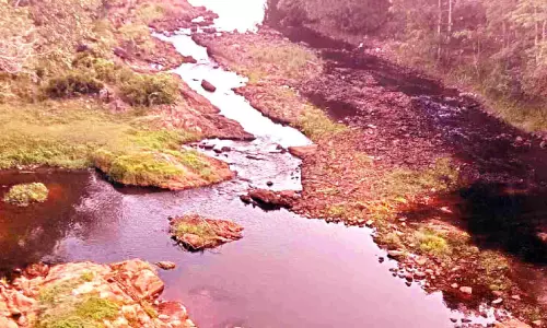 വാമനപുരം നദിയിൽ നീരൊഴുക്ക് ദുർബലം; ജലവിതരണം താളംതെറ്റുമെന്ന് ആശങ്ക