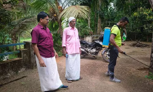 ക​ന​ത്ത ചൂ​ട് കാ​ര​ണ​മെ​ന്ന് നി​ഗ​മ​നം; നെടുങ്ങോട്ടുമാടിൽ കോഴികളും കാക്കകളും കൂട്ടത്തോടെ ചത്തു