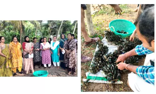 പെൺകരുത്തിൽ നൂറ്മേനി