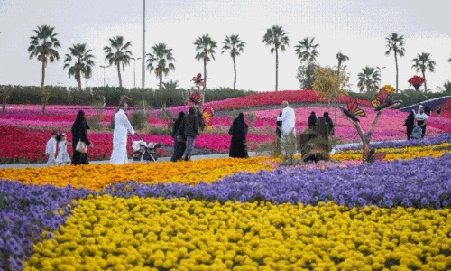 വർണവിസ്മയമായ യാംബു പുഷ്പമേള സമാപിച്ചു