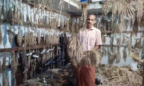 പത്മശ്രീയുടെ ‘മഹത്ത്വം’ ഈ ഷെഡിനുള്ളിൽ മതിയോ...?