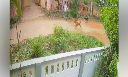 ഏലക്കല്ലിൽ വിദ്യാർഥികൾക്ക് നേരെ തെരുവുനായ് ആക്രമണം