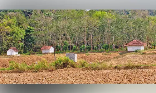 വെണ്ണീർ പോലൊരു ഗ്രാമം വെന്നൂർ; വെടിക്കെട്ട് ദുരന്തം അനാഥമാക്കിയ ദലിത് കോളനിയെ കുറിച്ച് അന്വേഷണം
