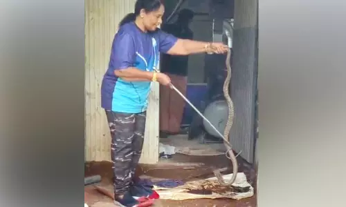 പാമ്പ് പിടുത്തത്തിൽ വാവ..! സ്നേഹപ്രഭ