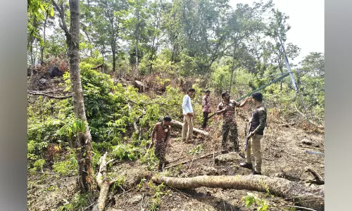 ആറളത്ത് സൗരോർജ തൂക്കുവേലി തകർത്തു