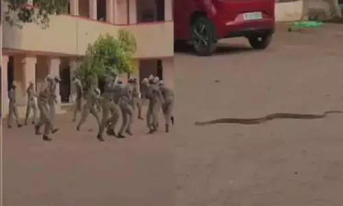 പൊലീസ് പരേഡ് പരിശീലനത്തിനിടെ ചേര ചാടി; ഉദ്യോഗസ്ഥർ ചിതറിയോടി