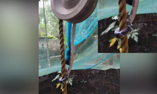 കിണറിലെ കപ്പിയിൽ ശംഖു വരയൻ; വീട്ടമ്മ രക്ഷപ്പെട്ടത് തലനാരിഴക്ക്